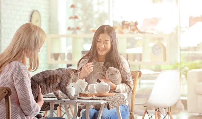 5 Expert Tips for Building a Strong Bond with Your Pet